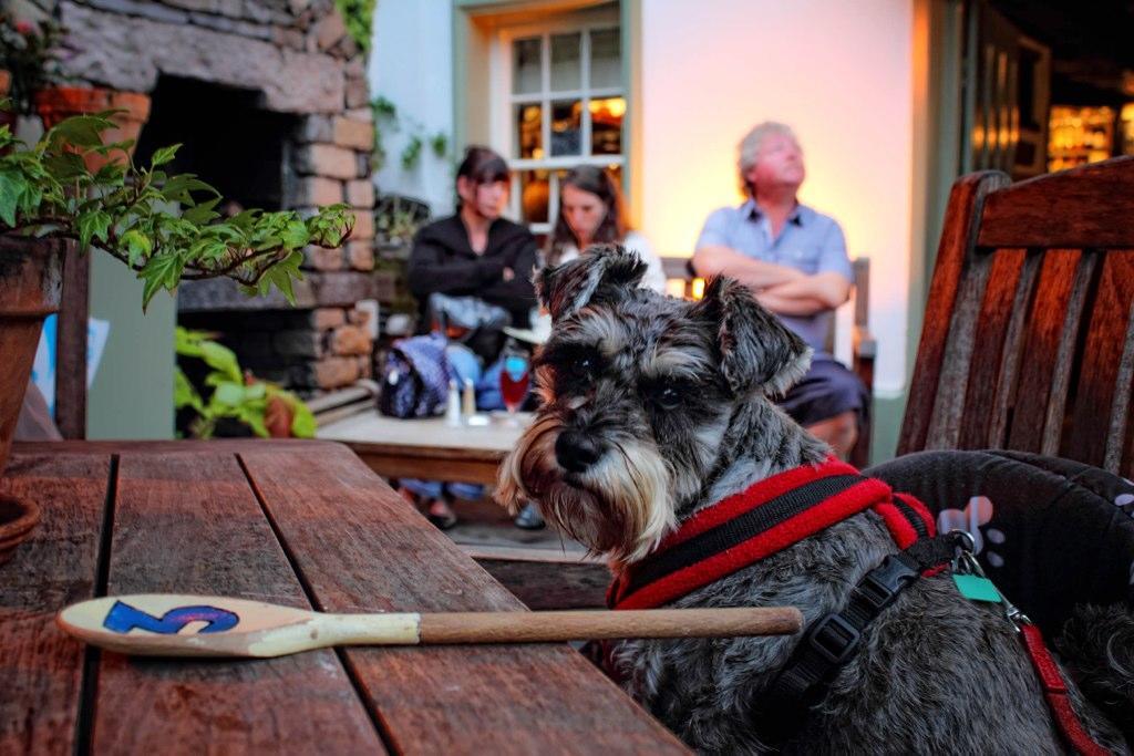 Mason'S Arms Hotel Bowland Bridge ภายนอก รูปภาพ